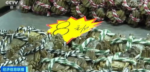 金華正大量上市，價(jià)格大跳水！水產(chǎn)品批發(fā)需注意這些問(wèn)題