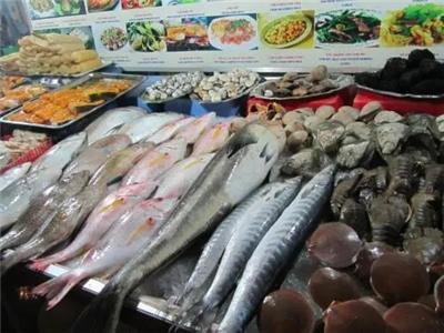 水產魚類市場全景 價格、行情、展會與供應鏈解析